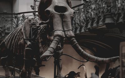 tristan-colangelo-WKFxRhgAKOI-unsplash-img.jpg tristan-colangelo-WKFxRhgAKOI-unsplash-img.jpg